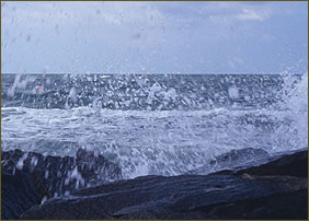 am Meer